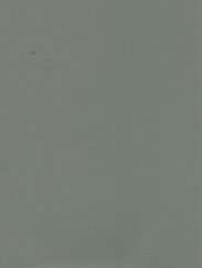 Titanium Hornuschuh 436-7049 (436-7022)